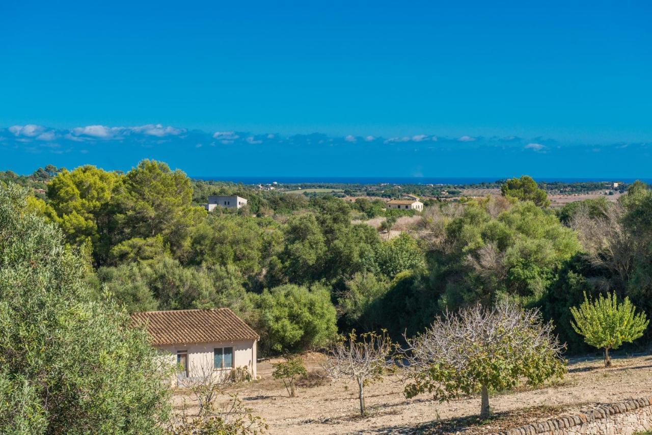 Finca Son Colom ماناكور المظهر الخارجي الصورة